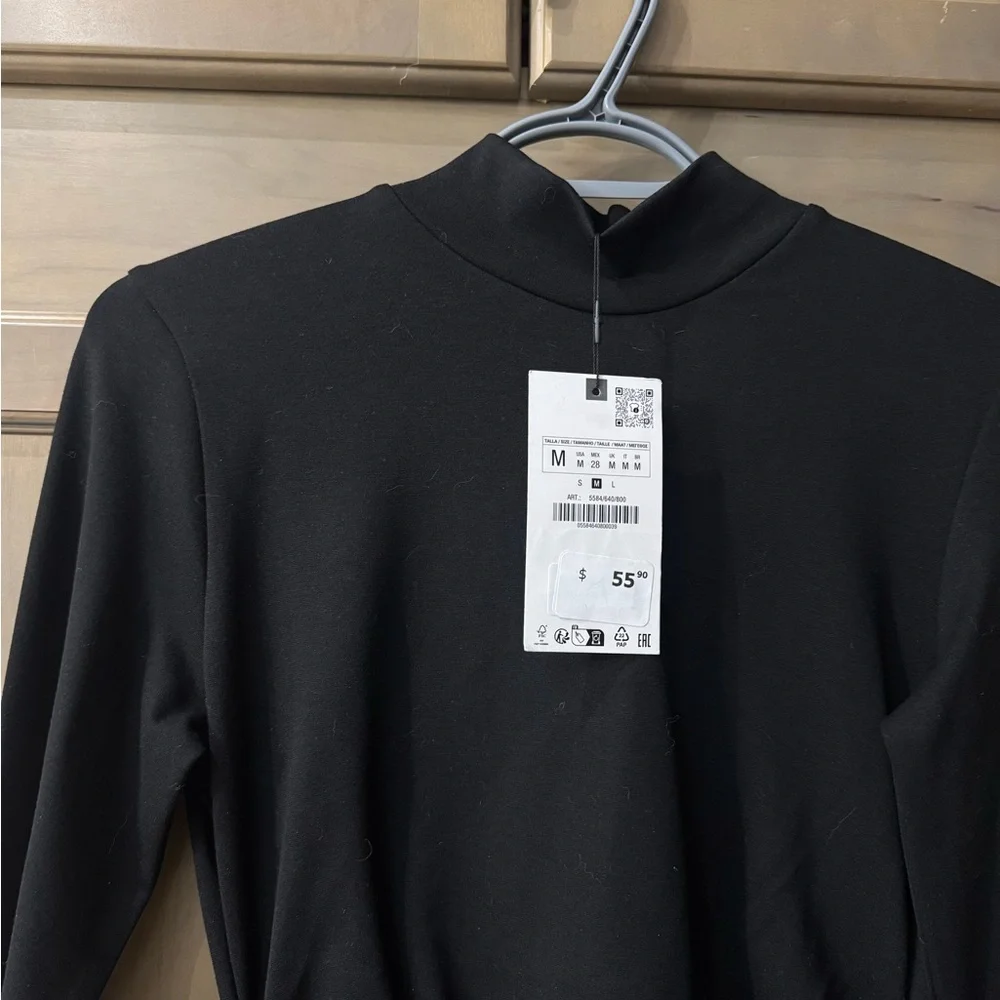 Zara Black Long-Sleeve Ruched Maxi Dress - Picture 4 of 6